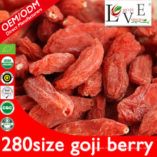 Top Grade 280granule / 50g Goji Berry con precio competitivo